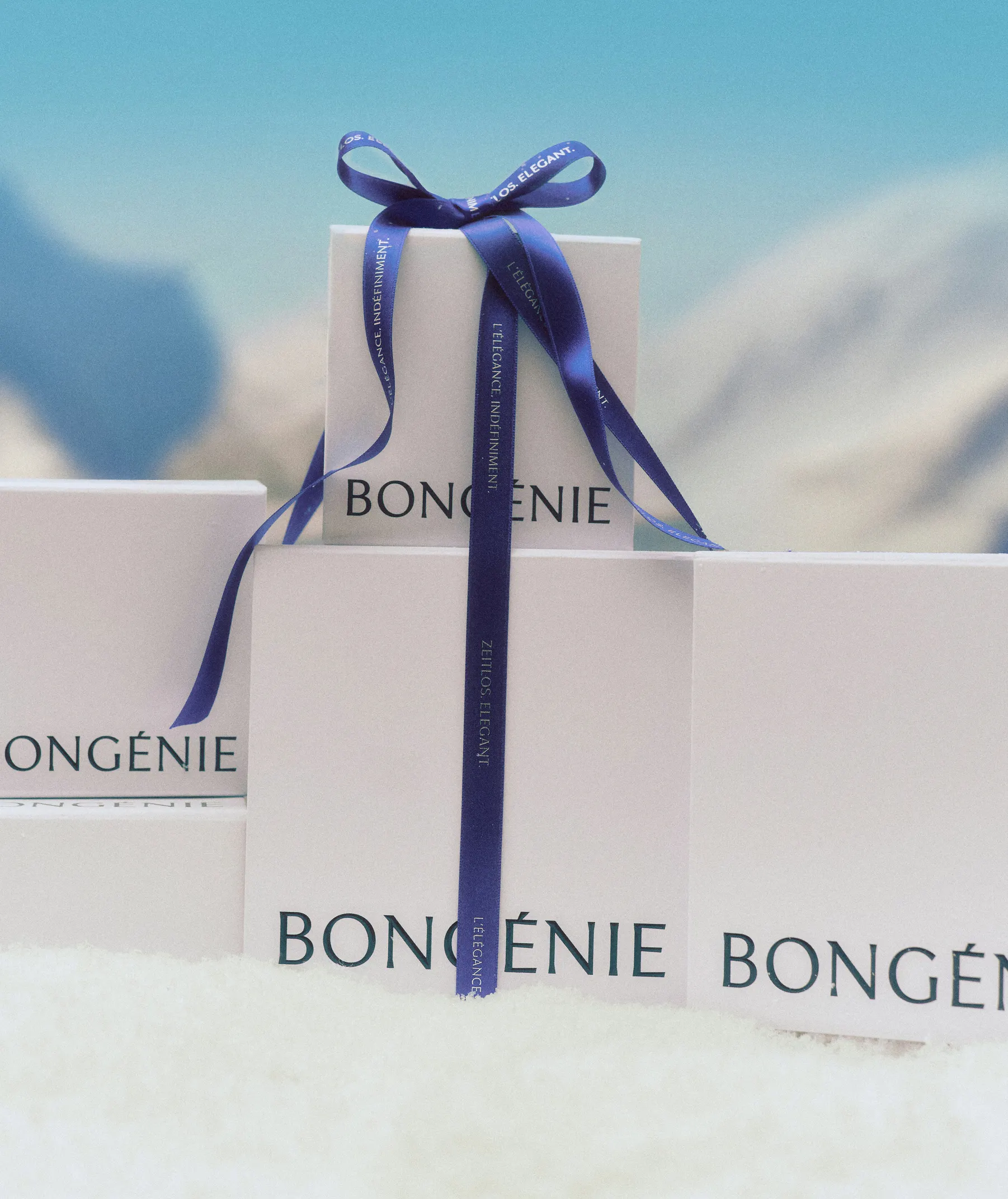 Christmas_still_life_3824 1