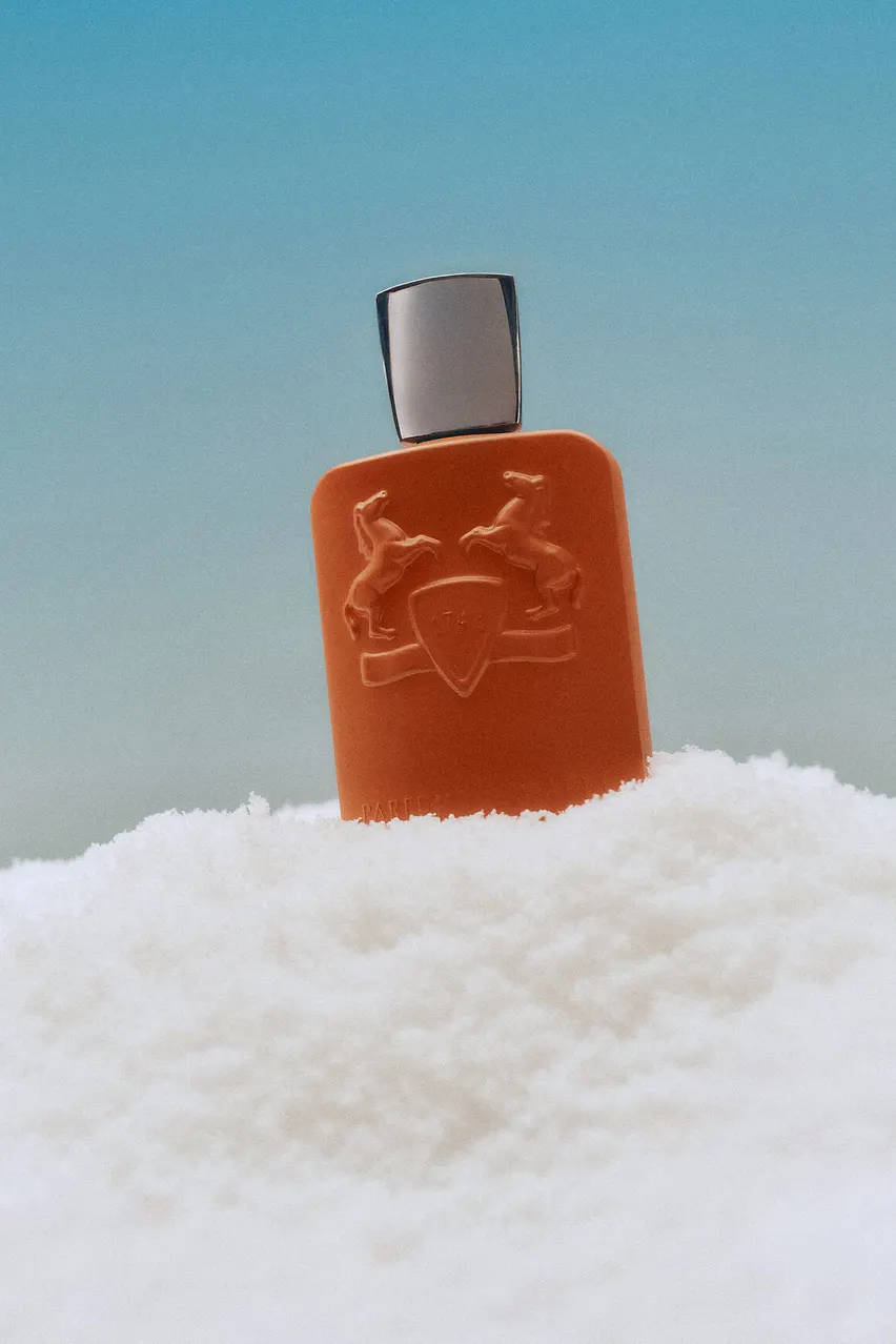 Christmas_still_life_3858