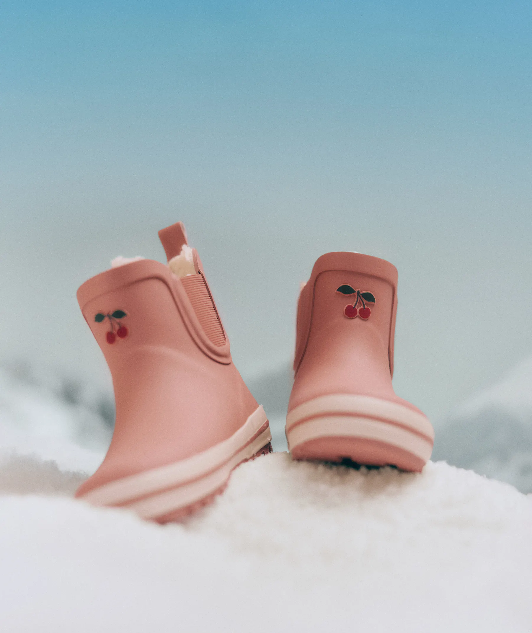 Christmas_still_life_4009